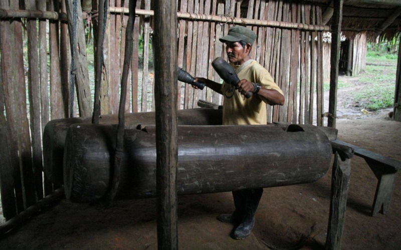 Бора - это группа коренных народов, занимающая перуанскую и колумбийскую Амазонку, в настоящее время насчитывающая всего около 1500 человек.