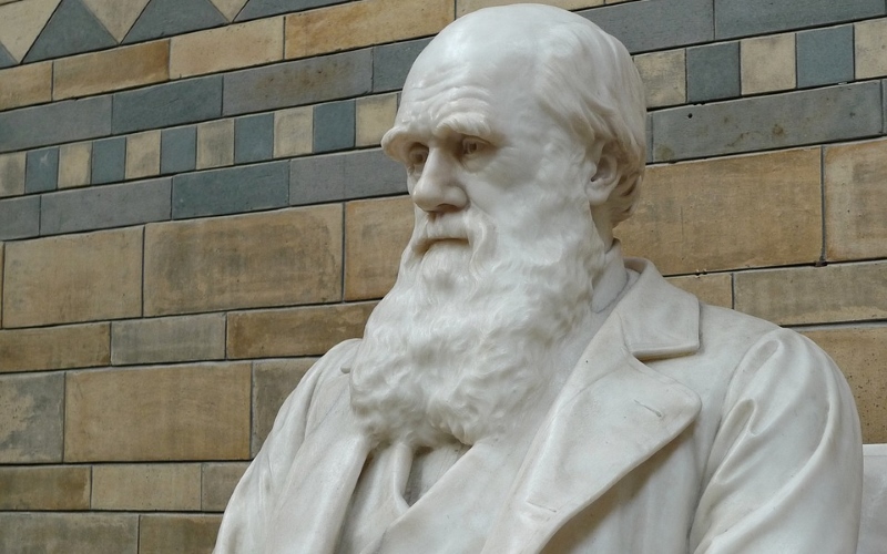 Выставка «Дарвин и мы». K 210-летию Ч.Дарвина и 160-летию знаменитого труда "Происхождение видов..."