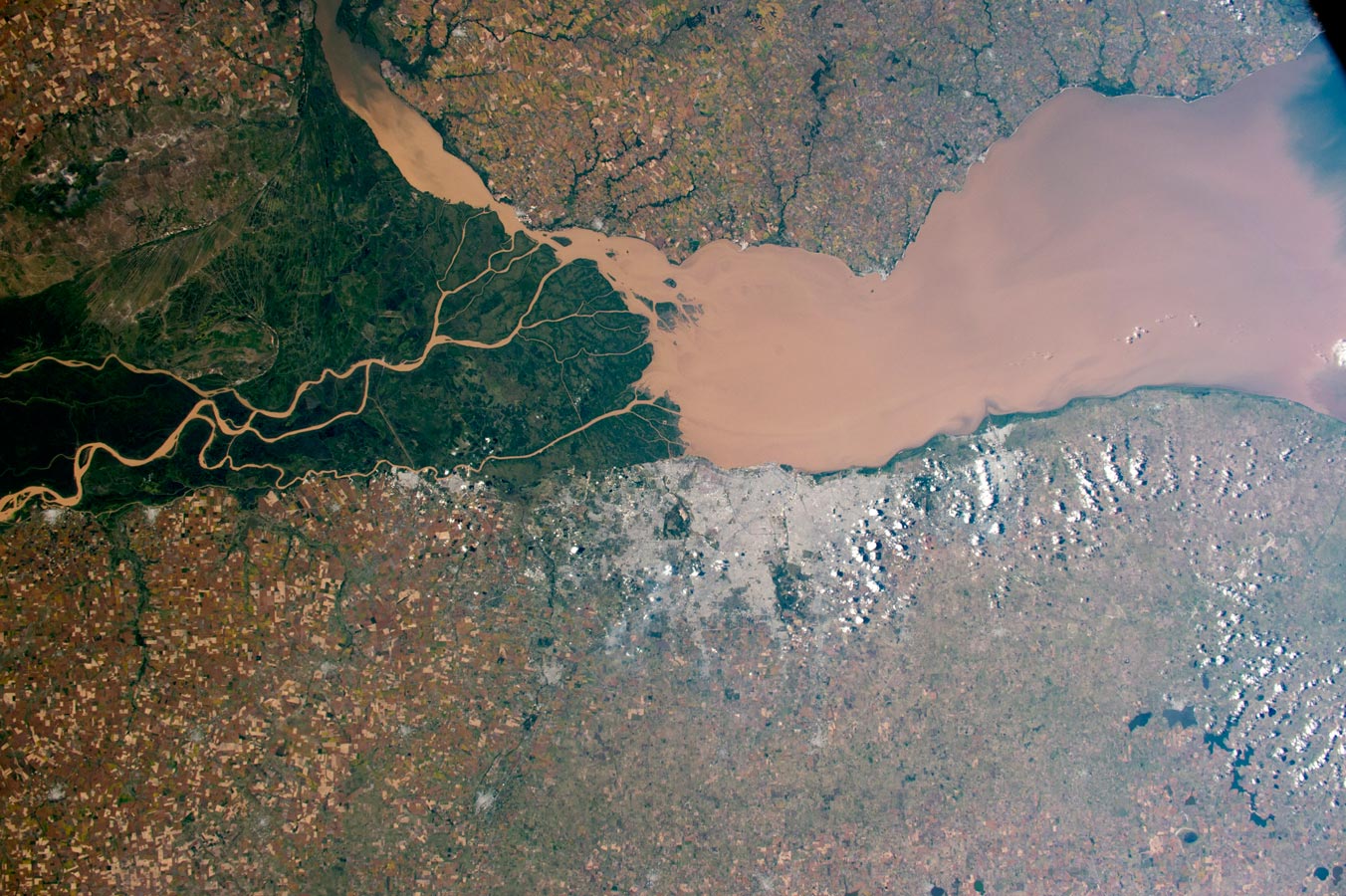 Привлекательные дельта и зеленые болота реки Парана на Атлантическом побережье Аргентины. Река Парана в Южной Америке вторая по величине после Амазонки, наливает коричневая мутную воду в широком устье известном как Ривер Плейт.