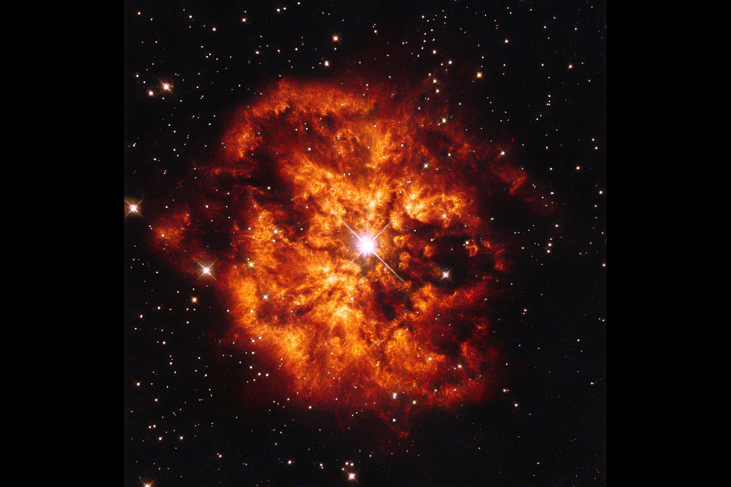 Зрелищная космическая пара, звезда класса Вольфа-Райе Hen 2-427 - более широко известное как WR 124 - и созданная ею туманность M1-67, которая ее окружает. Звезда Hen 2-427 ярко сияет в самом центре этого взрывного изображения и вокруг горячих скоплений окружающего газа, которые выбрасываются в космос со скоростью более 150 000 км в час.