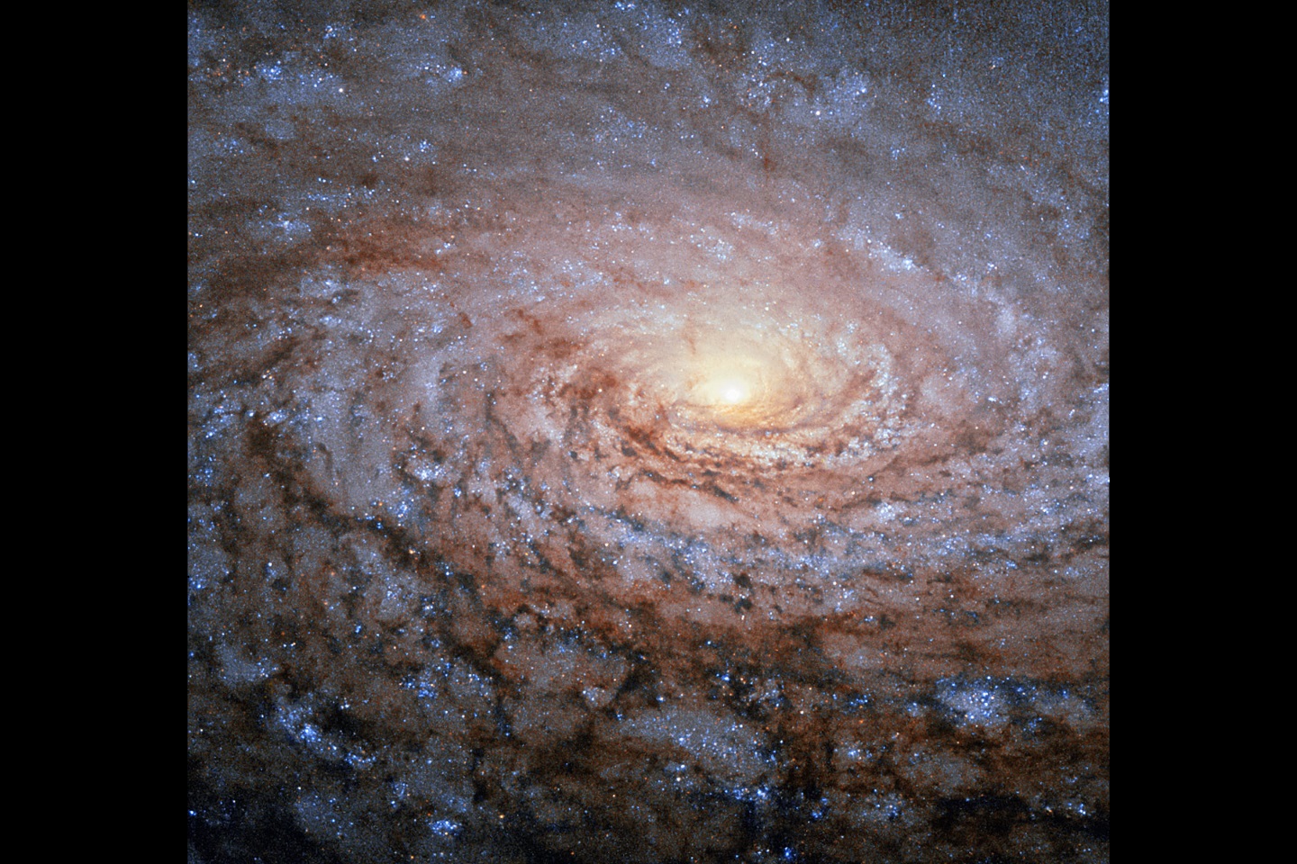 Расположение спиральных рукавов в галактике Мессье 63 (Галактика Подсолнух) в созвездии Гончие Псы, увиденное здесь на изображении космического телескопа НАСА «Хаббл», напоминает узор в центре подсолнечника.