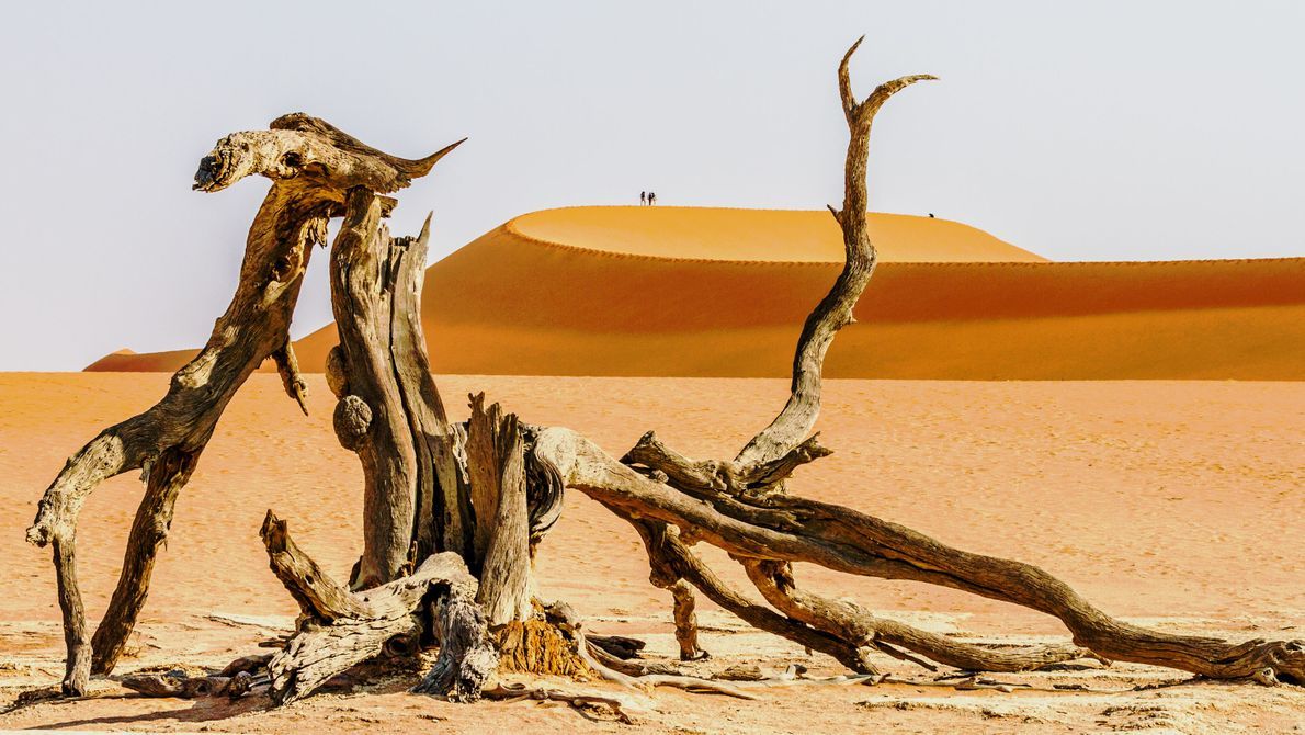 Финалист - Пейзажи. Мертвый лес, парк Намиб-Науклуфт, Намибия. Фото: George Turnbull/National Geographic UK