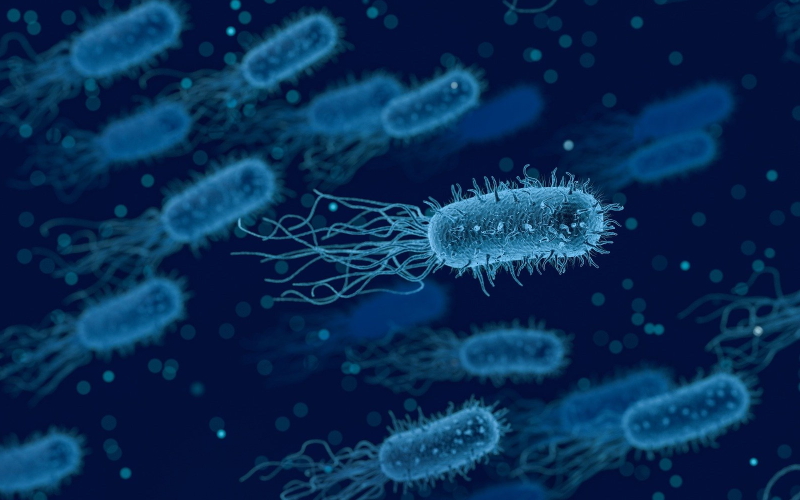 Три из видов бактерий, связанных с агрессивным раком простаты, являются совершенно новыми для ученых.