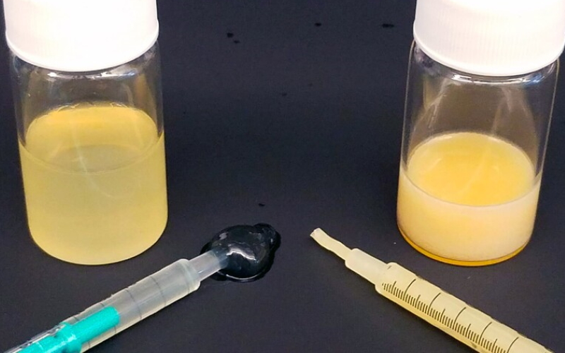 Ученые разработали новый гель на масляной основе, который можно использовать для введения лекарств.