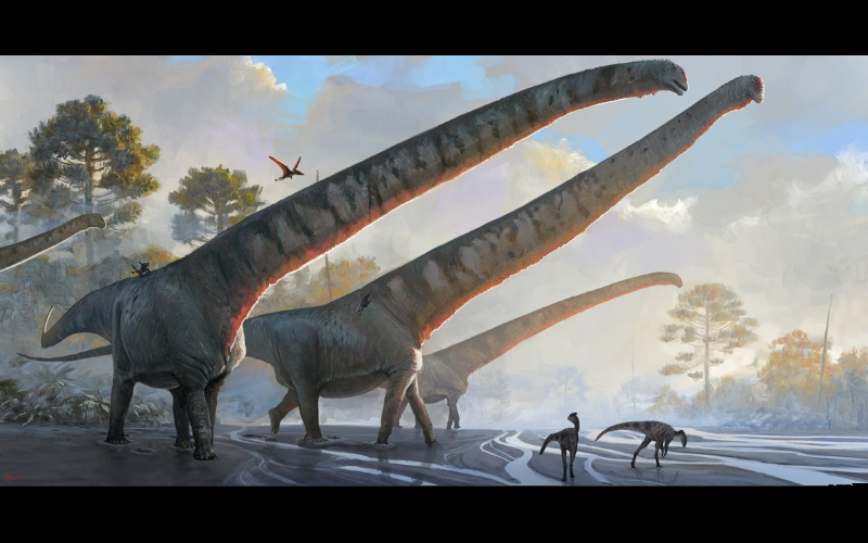 Впечатление художника от Mamenchisaurus sinocanadorum, у которого, как утверждает новое исследование, была самая длинная шея среди всех когда-либо живших животных.