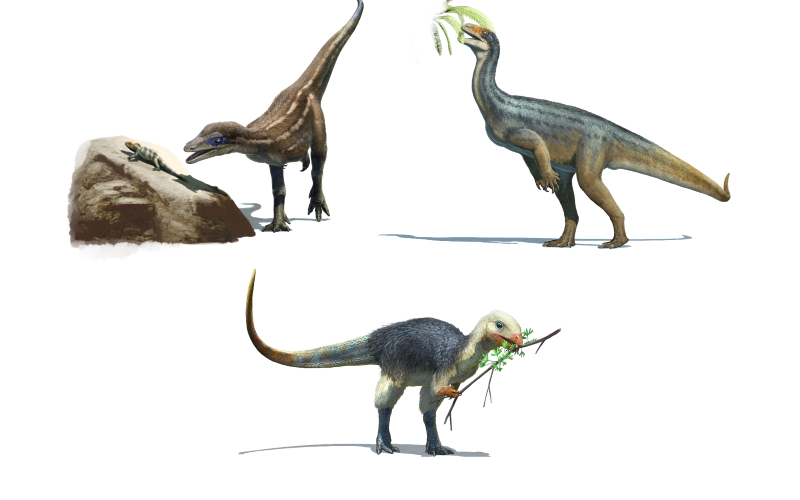 Представление художника о трех ранних видах динозавров, представляющих три разных диеты.