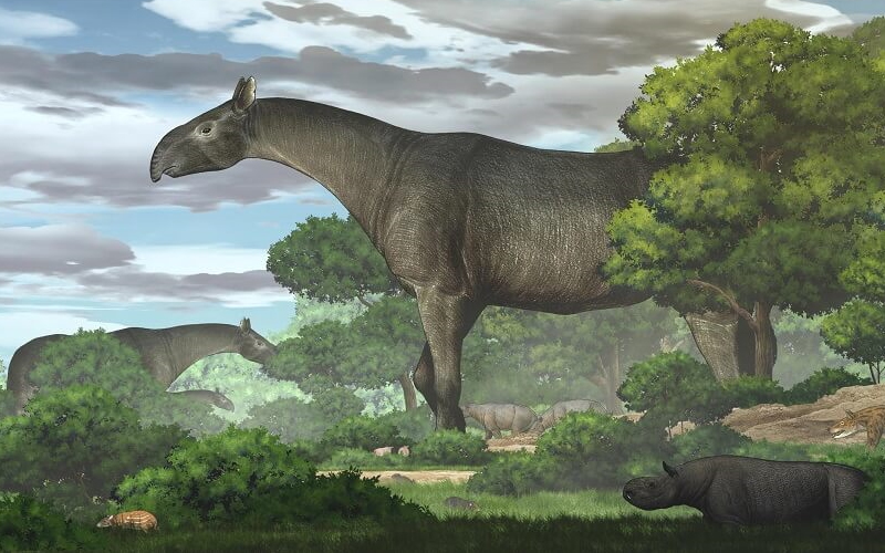 Экологическая реконструкция нового гигантского носорога Paraceratherium linxiaense на северо-востоке Тибетского плато в конце эпохи олигоцена.
