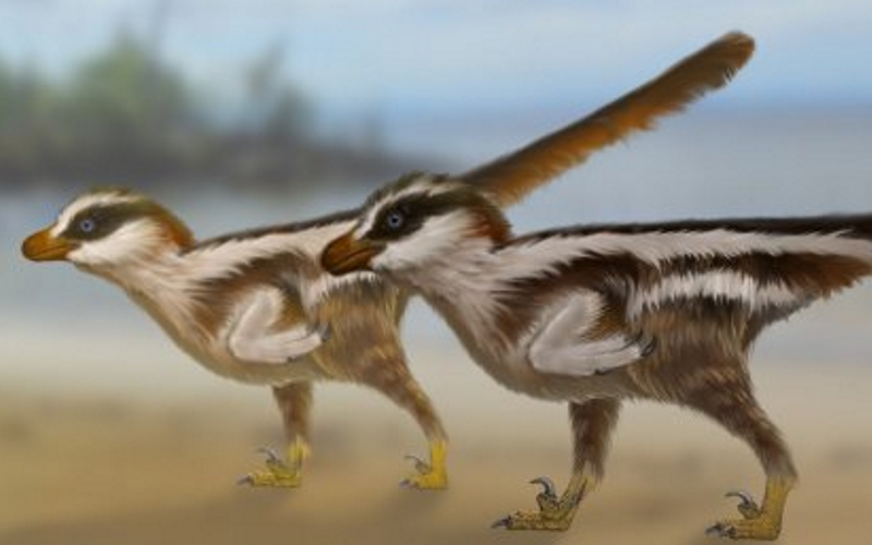Животное, оставившее найденные следы, было хищным динозавром, размером с воробья.