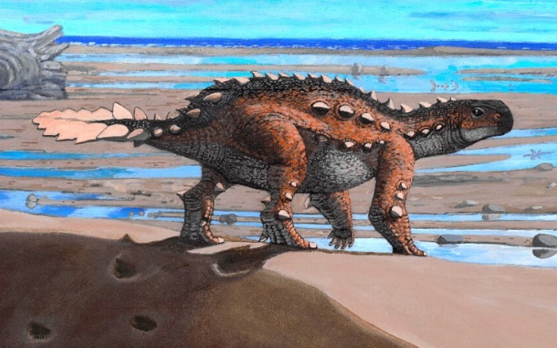 Stegouros elengassen, вероятно, жил в дельте реки около 74 миллионов лет назад.