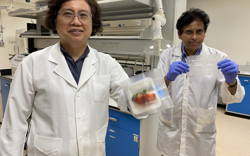 Профессор Мэри Чан (слева) и доктор Суреш Кумар Раман Пиллаи с образцами антибактериальной пленки.
