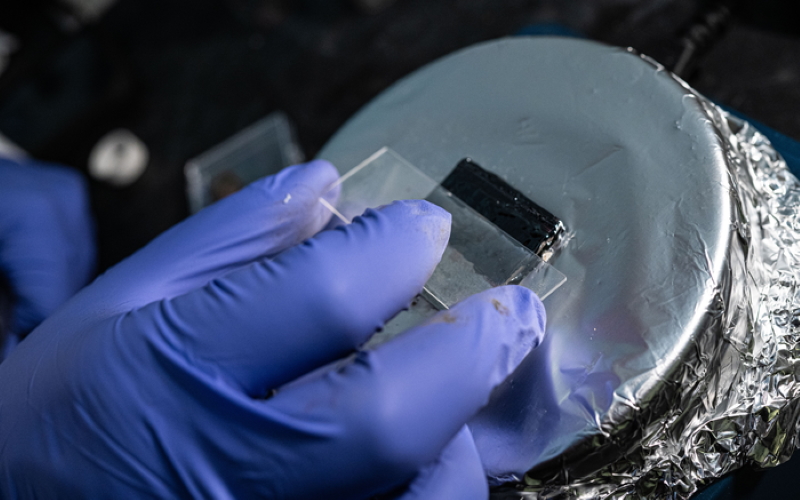 Ученые из Университета Райса наносят на сталь новое покрытие для защиты от коррозии.