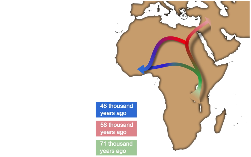 Западноафриканские миграции.