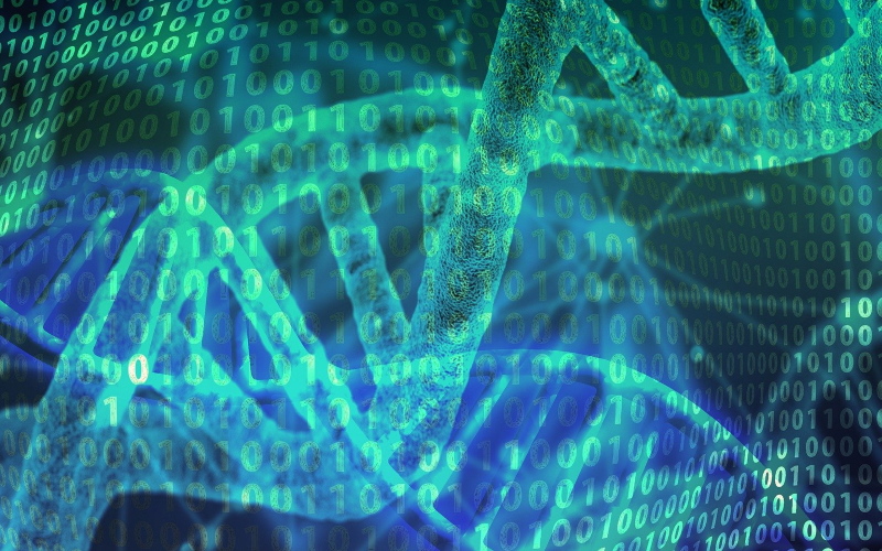 Новый прорыв может сделать хранение данных в ДНК гораздо более осуществимым.