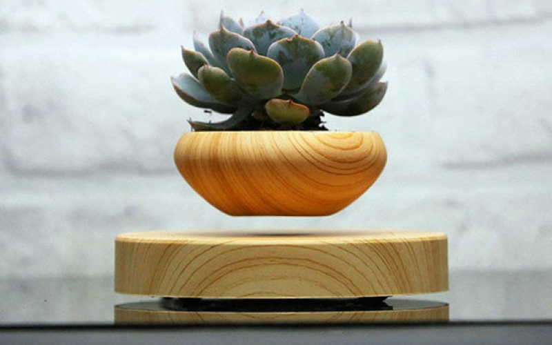 Любите ли вы растения или дизайн интерьера, этот AIRSAI Floating Bonsai Plant Pot является идеальным предметом разговора для любого дома.