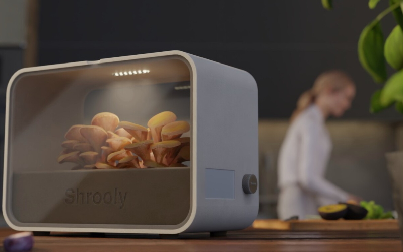 В настоящее время система Shrooly находится на Indiegogo.