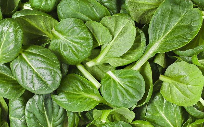 Ученые использовали листья шпината в качестве основы для выращенного в лаборатории мяса.