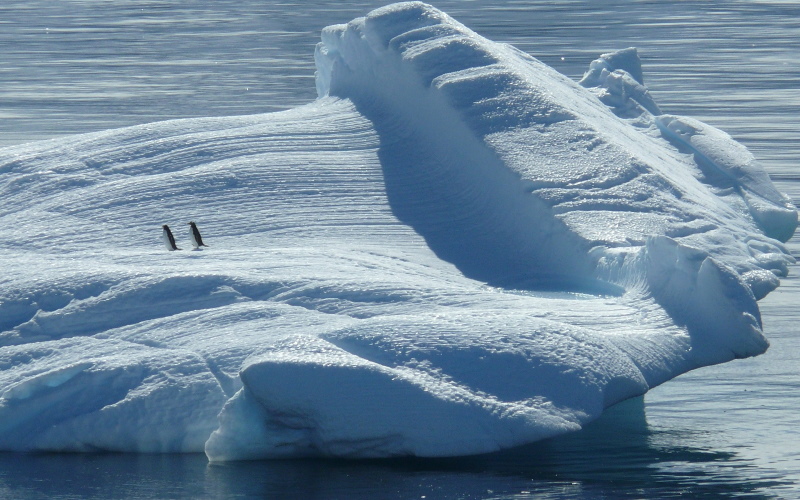 Рекордное потепление на Южном полюсе за последние три десятилетия.