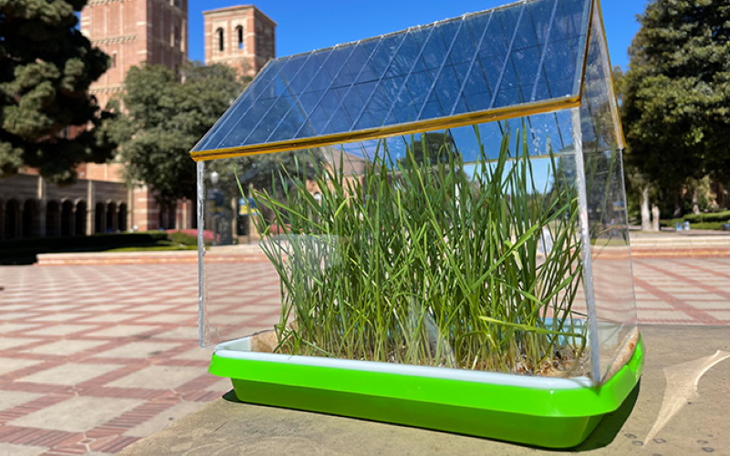Модель теплицы с крышей из полупрозрачных органических солнечных элементов.