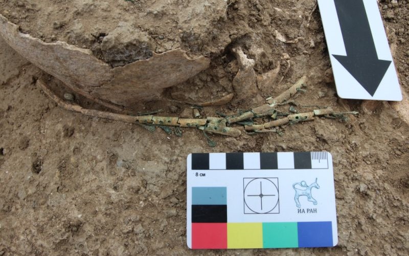 Остатки арфы-тригона, найденные в античном некрополе поселения «Волна-1» в Темрюкском районе Краснодарского края.
