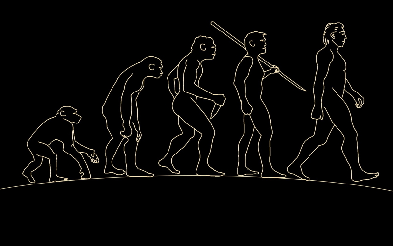 Ученые исследовали общественное признание теории эволюции в США, 1985–2020 гг.