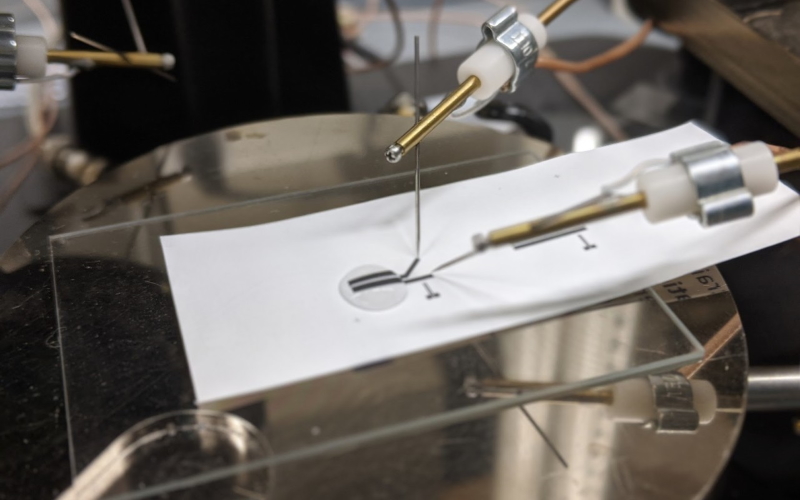 Инженеры тестируют первый в мире пригодный для печати и полностью перерабатываемый транзистор в составе лактатного биосенсора.
