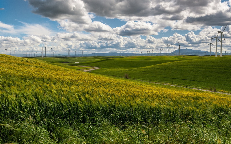 Согласно новому исследованию, ветряные турбины могут выиграть от размещения за холмами.