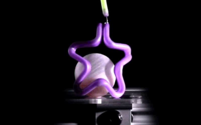 "Рука" в форме звезды, созданная в технике пузырькового литья, способна аккуратно схватить чернику, а в данном случае - небольшой шар.