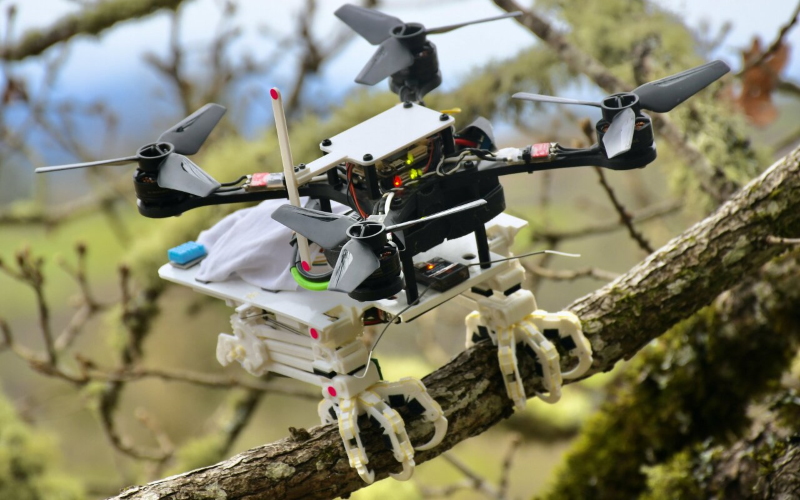Инженеры Стэнфорда создали робота, который умеет приземляться и сидеть на ветках деревьев как птицы.