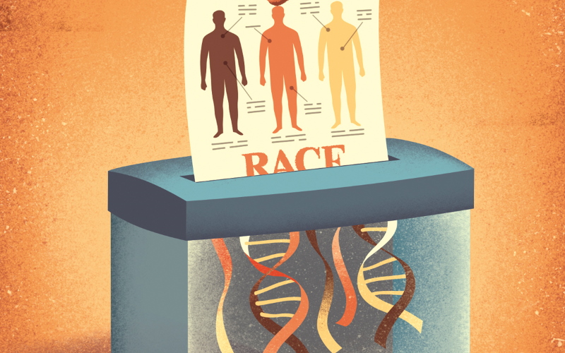 Генетики работают над удалением вредных расовых категорий из описаний человеческих популяций. Исследование показало, что генетика человека — раздел генетики, изучающий закономерности наследования и изменчивости признаков у человека, все еще не может точно описать популяции.